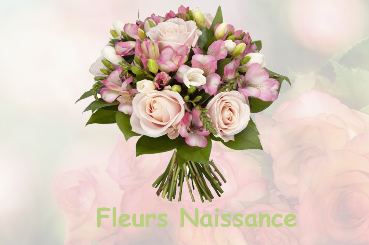 fleurs naissance SAULCES-CHAMPENOISES